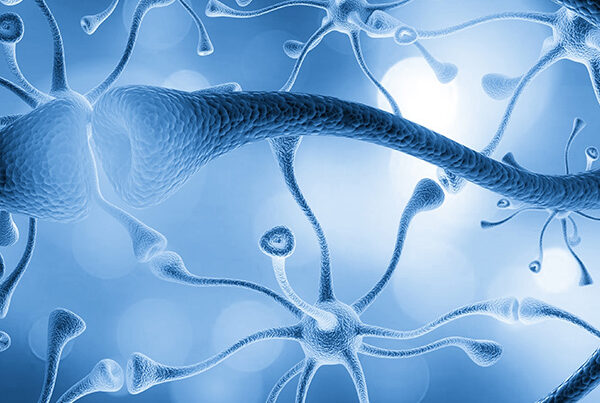 Conceptual brain image for page thumbnail