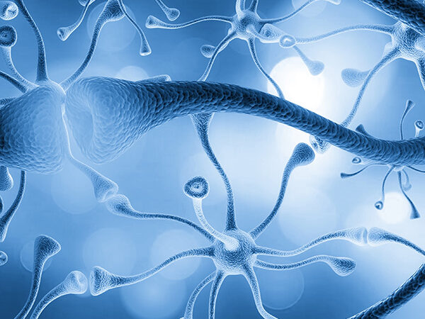 Conceptual brain image for page thumbnail